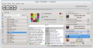 Novo visual do amarok 2 no ubuntu Intrepid Ibex