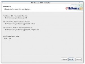 Instalador do Netbeans - Confirmacao das escolhas de instalacao