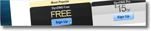 A escolher serviço gratuito do DynDNS