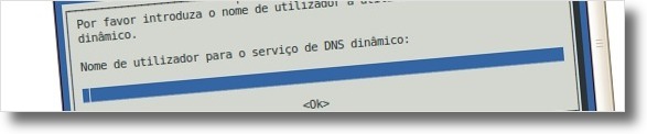 A digitar o nome de utilizador do serviço DynDNS