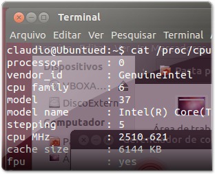 Terminal_transparenteM