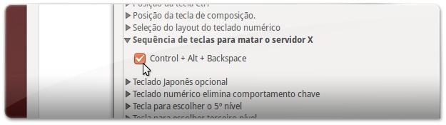 A ativar a combinação de teclas CTRL + ALT + Backspace para matar o servidor X