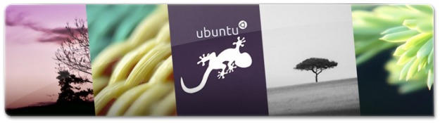 Conheça os 18 Wallpapers do Ubuntu 13.10