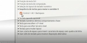 A ativar a combinação de teclas CTRL + ALT + Backspace para matar o servidor X.png